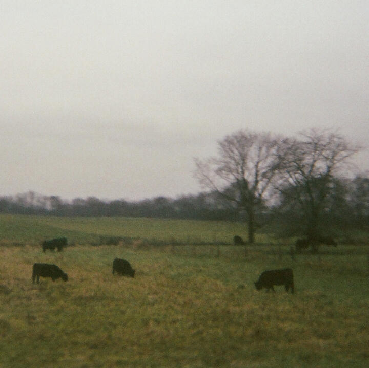 Yellow Springs